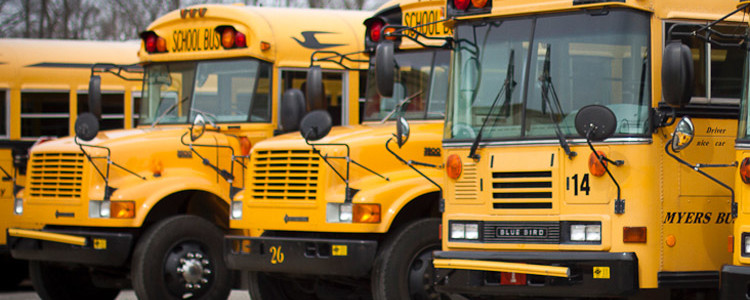 Yellow School buses