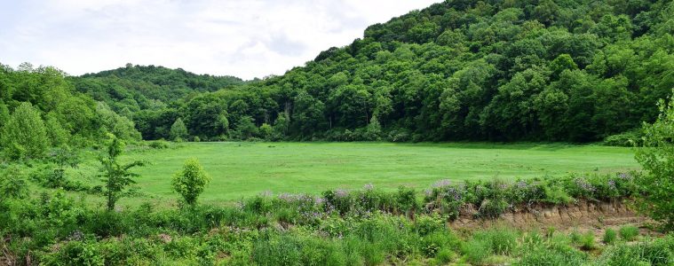 Ryerson Station State Park