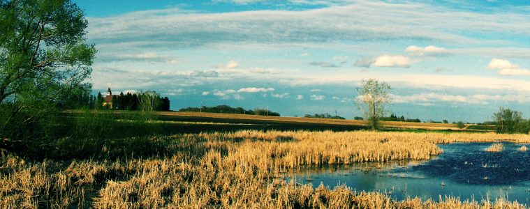 wetland