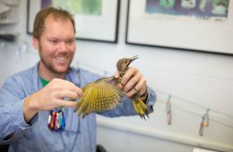 conservation bird research