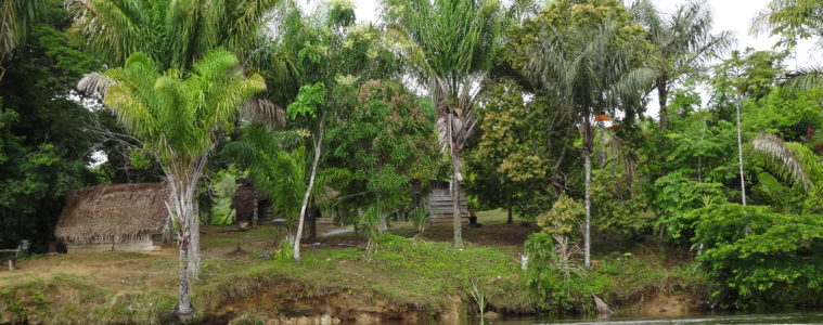 Suriname River