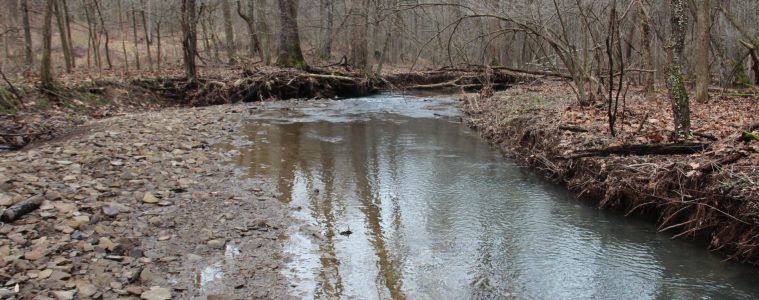 A stream inside Ryerson Station State Park; Photo: Reid R. Frazier