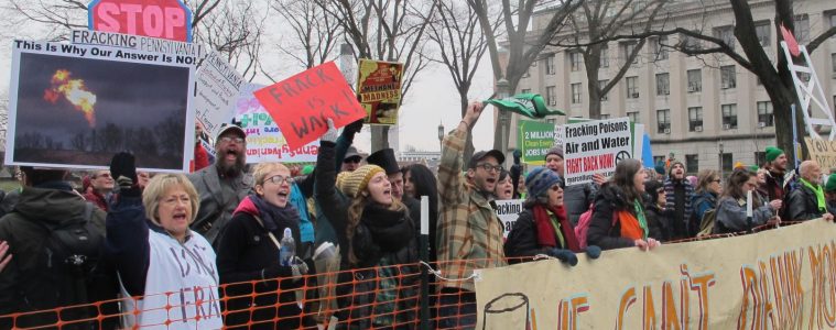 Protestors