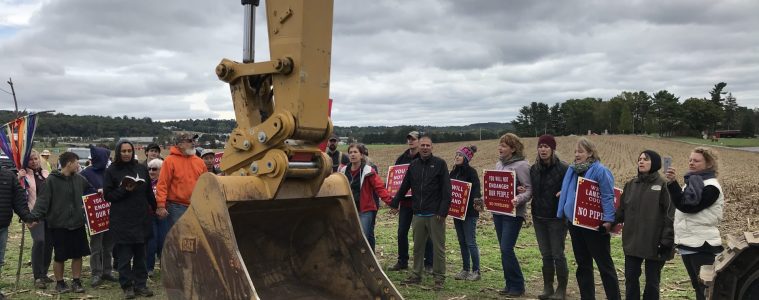 Dakota Access protestors