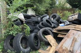 Illegally dumped tires