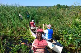 scientists in a canoe
