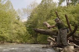 Little Conemaugh River