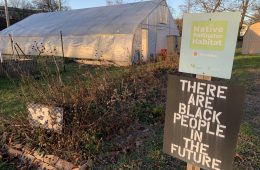 The Black Urban Gardeners and Farmers of Pittsburgh farm