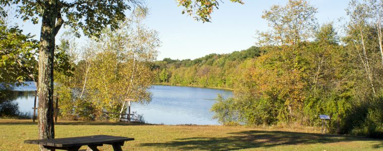 Nescopeck State Park