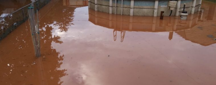 flooded backyard