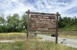 Old Crow Wetland