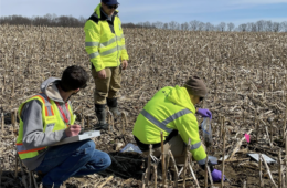 Three people in yellow reflective coats in a farm field.