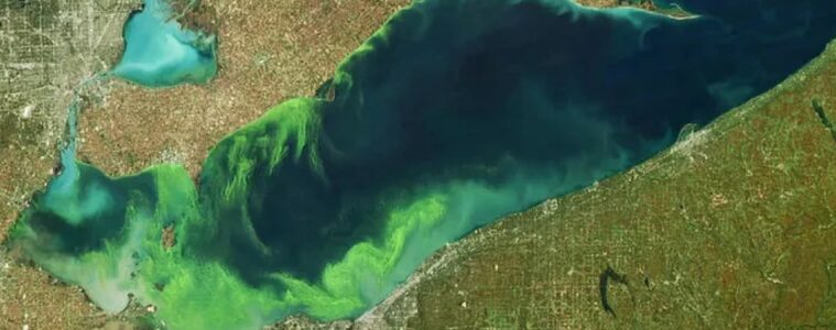 Aerial photo of Lake Erie with green algal blooms