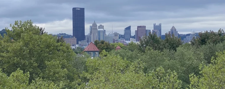 Trees in the foreground with a view of Downtown Pittsburgh.