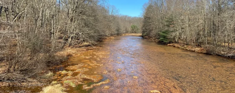 An orangish stream