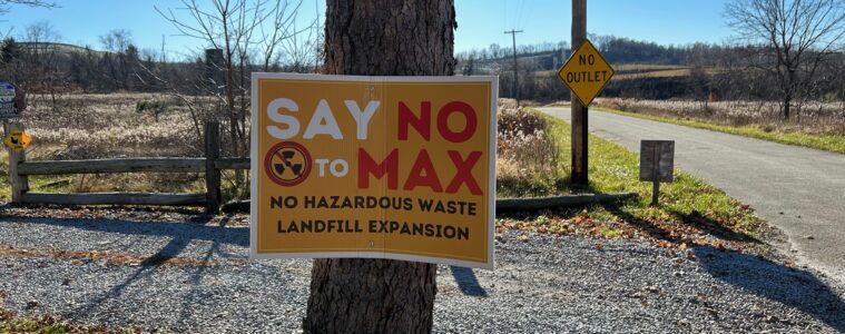 A sign that says "Say No to Max" hangs on a tree