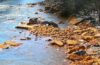 a stream bank with orange rocks