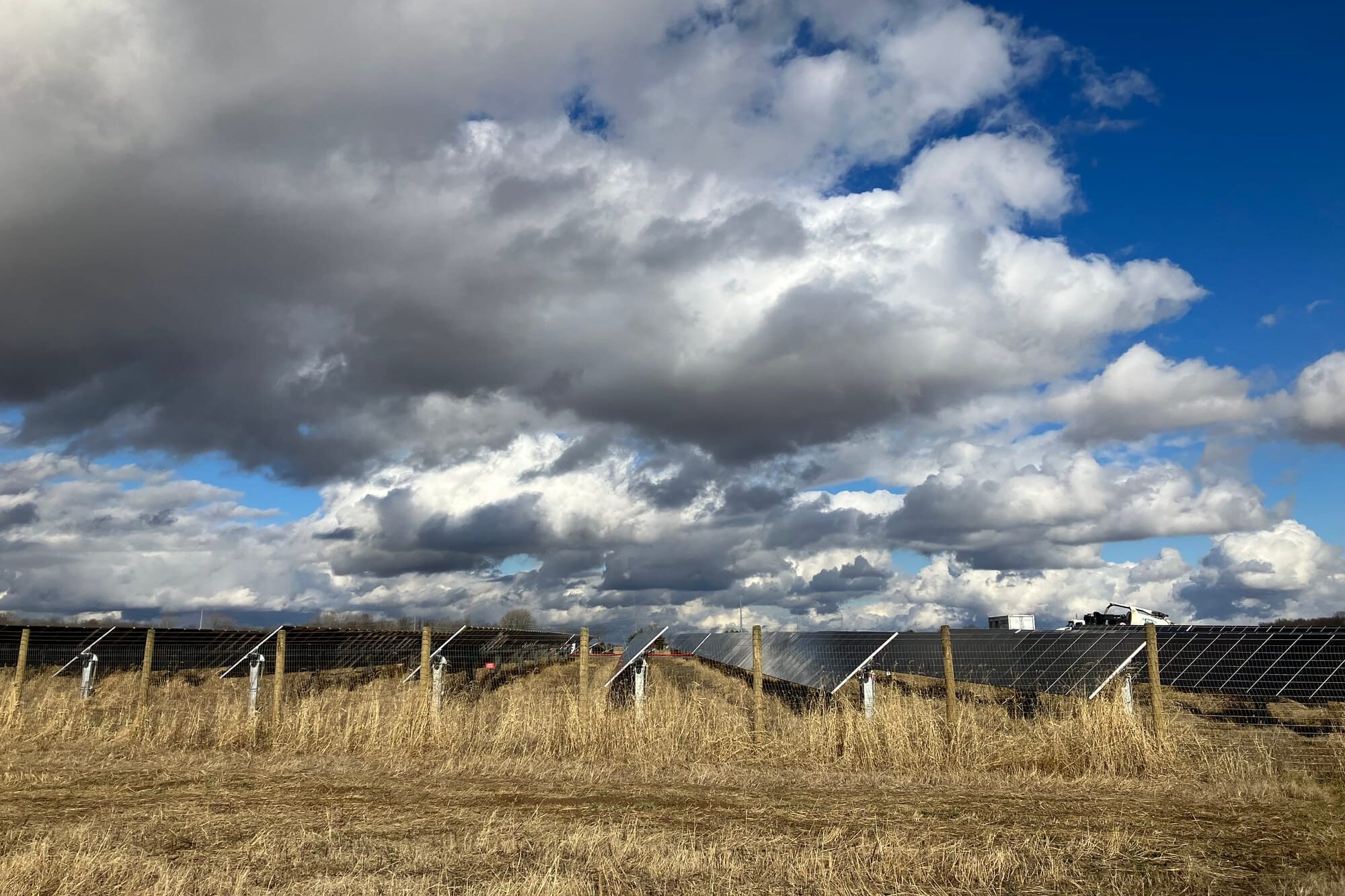 Solar paels on brown grass with a blue sky and white clouds floating overhead