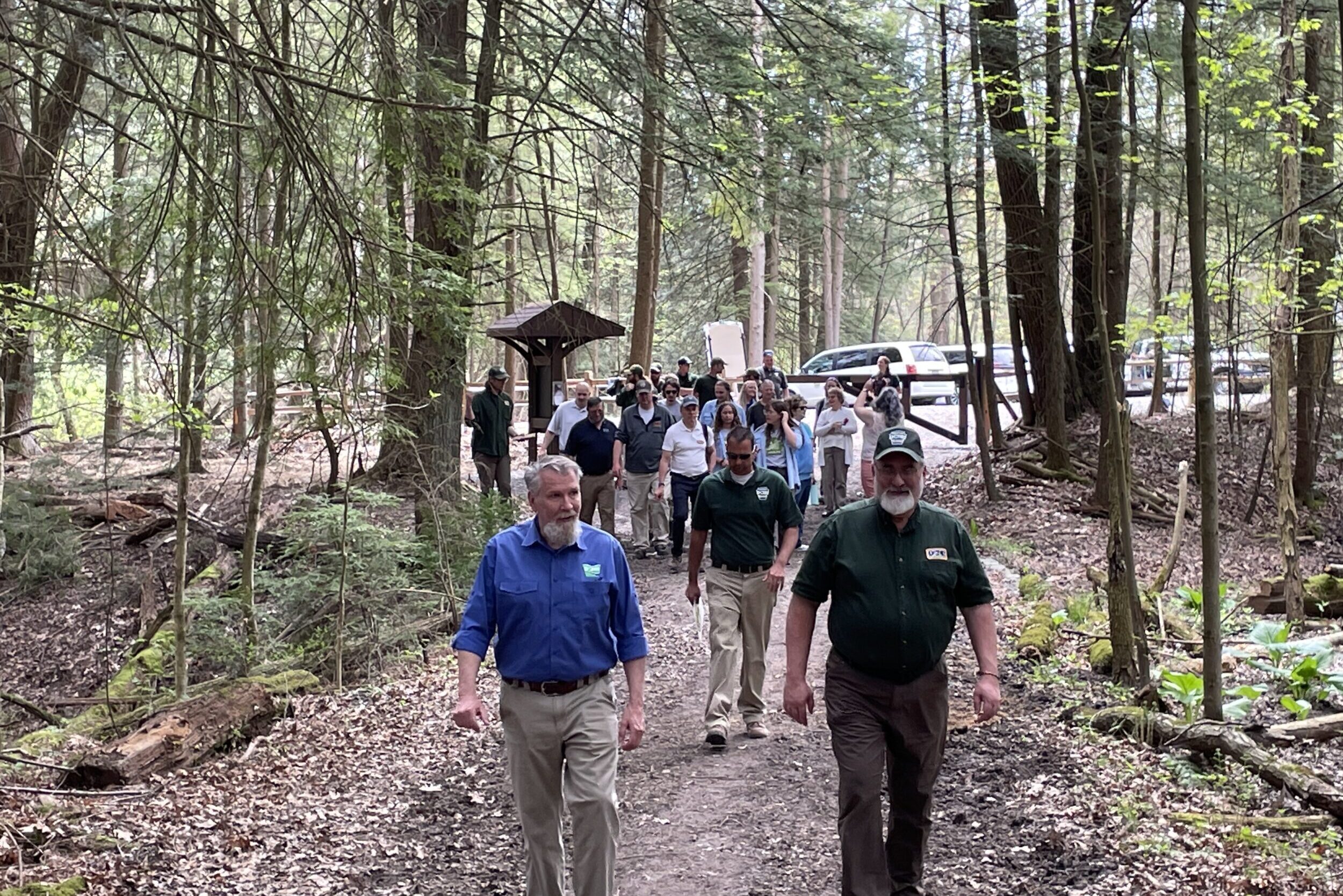 Crew walking towards the old growth tract.